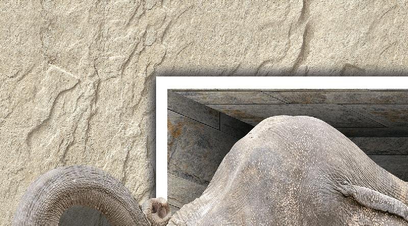 Poster Series Wall Tiles  (25x45) (3910 A)