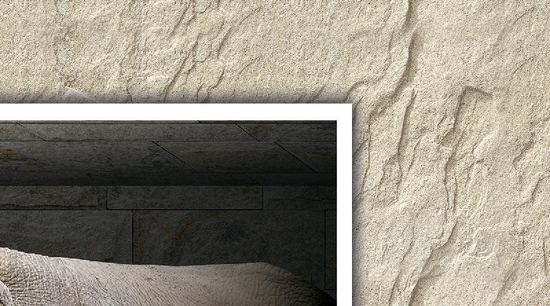 Poster Series Wall Tiles (25x45) (3910 B)