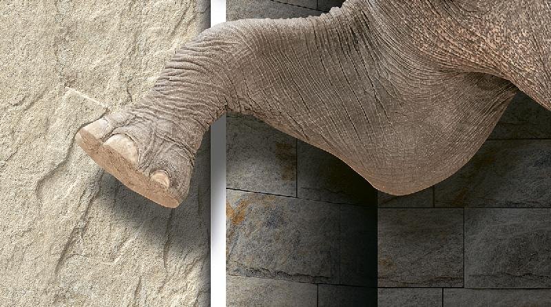 Poster Series Wall Tiles (25x45) (3910 E)