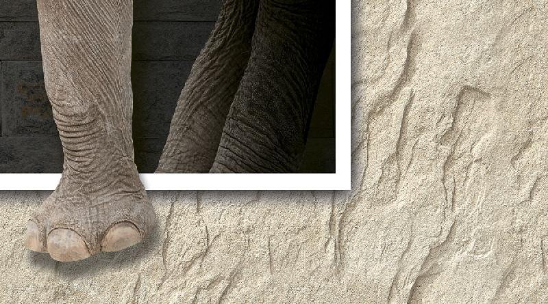 Poster Series Wall Tiles (25x45) (3910 H)