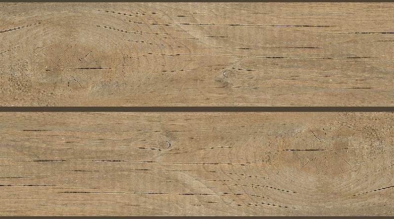 Wooden Series Wall Tiles (25x45) (3760 D)