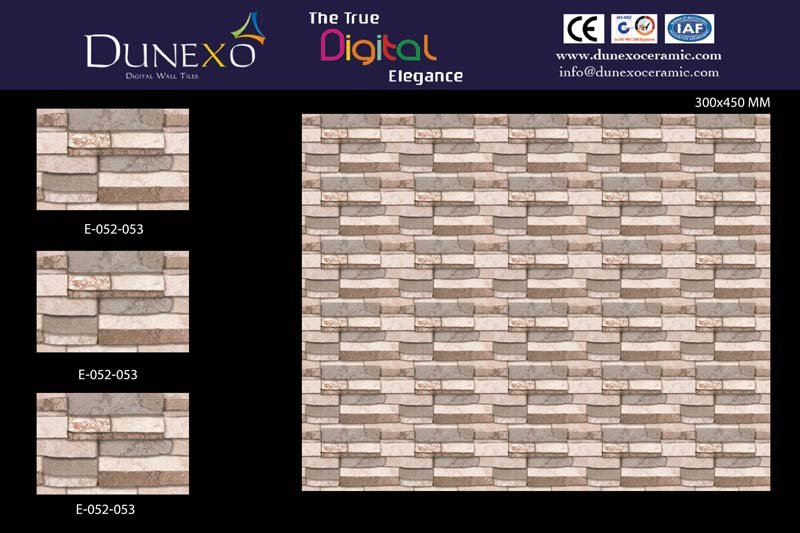30x45 Elevation Series Ceramic Wall Tile (E-052-053)