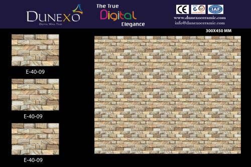 30x45 Elevation Series Ceramic Wall Tile (E-40-09)
