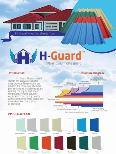 Flyer Designing & Printing  01