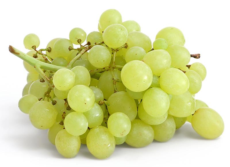 Thomson Grape