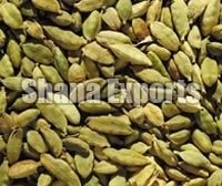 Cardamom