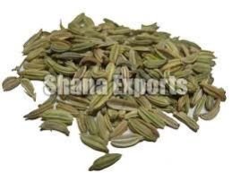 Fennel Seeds