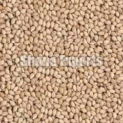 Natural Sesame Seeds
