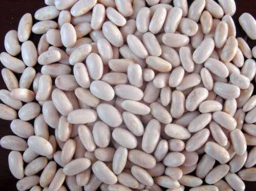 White Kidney Beans