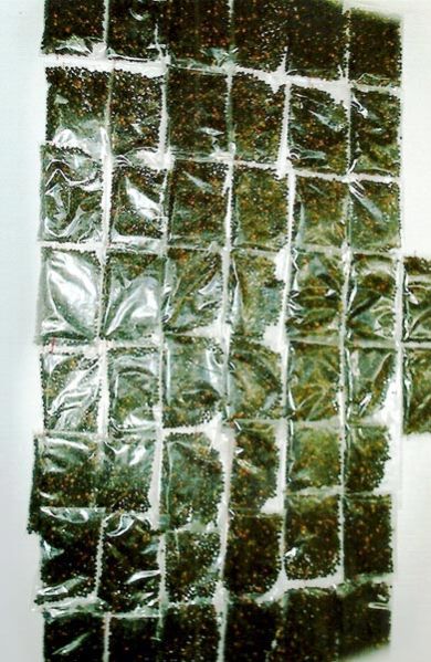 Indian Barberry Seeds 01