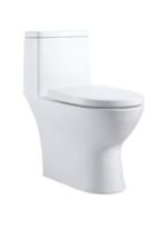 One Piece Water Closet