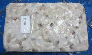 51/60 Frozen Vannamei Shrimps