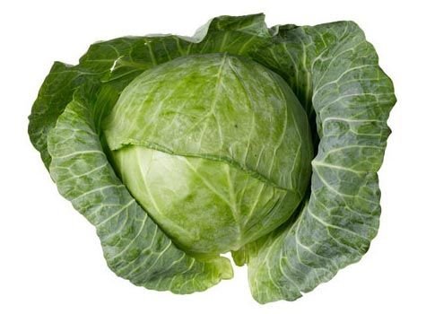 Fresh Cabbage