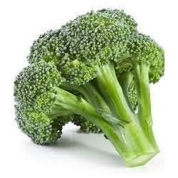 Fresh Green Broccoli