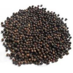 Black Pepper Seeds