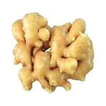 Fresh Ginger