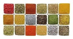 Indian Spices