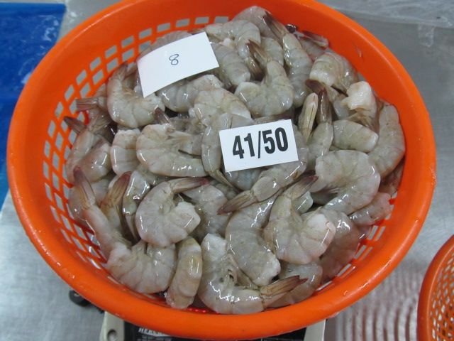 Raw Headless Shell On Vannamei Shrimps 03