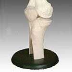 KK-010: Life-size knee joint