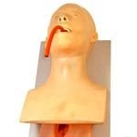 KK -075 Human trachea intubation model