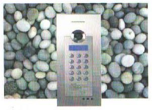 Video Door Locking Device (TM6PSTN)