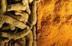 Turmeric