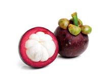 Fresh Mangosteen