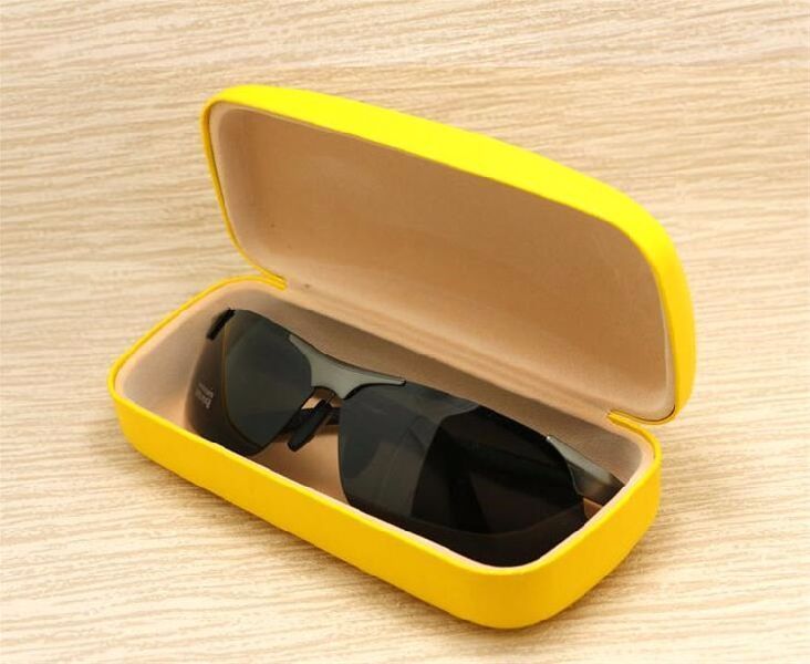 Goggles Case 01