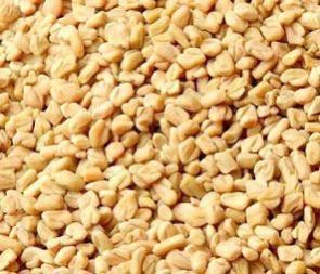 Fenugreek Seeds
