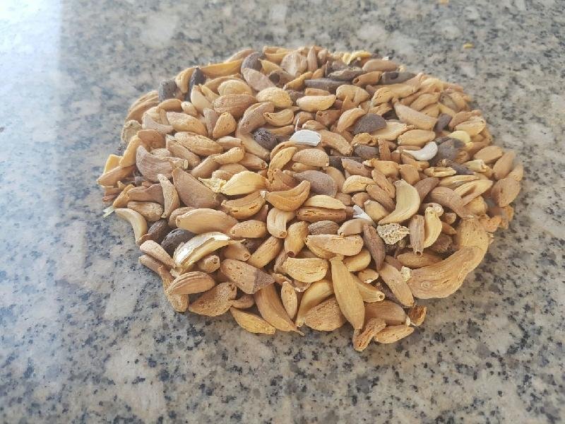 Dehydrated Garlic 03