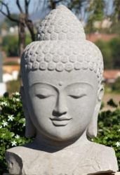 Buddha Bust