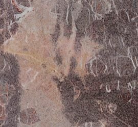 Lavante Red Marble Tiles