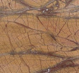 Rainforest Gold Marble Tiles