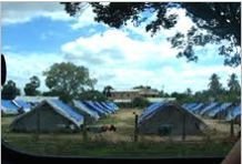 Multilayer Cross Laminated Film 02