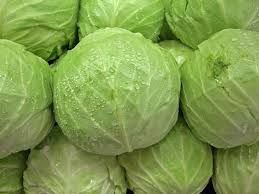 Fresh Cabbage 01