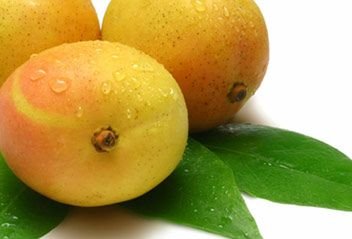Kesar Mango 01