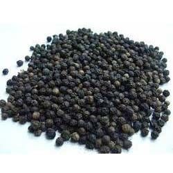 Black Pepper Seeds