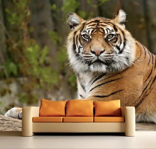 Customised wallpaper 15