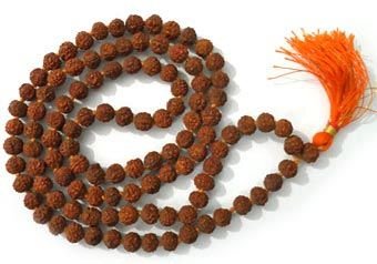 Rudraksha Collection