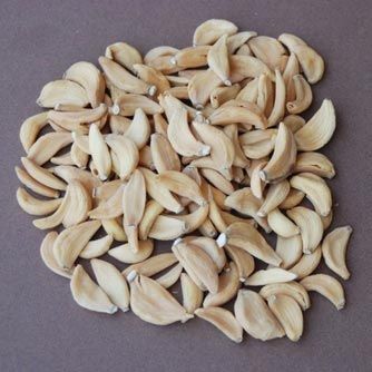 Dehydrated Garlic Flakes