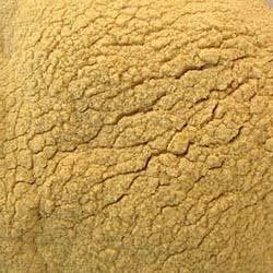 Dehydrated Potato Powder
