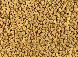 Fenugreek Seeds