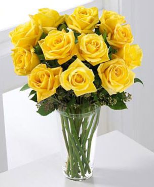 Fresh Yellow Rose
