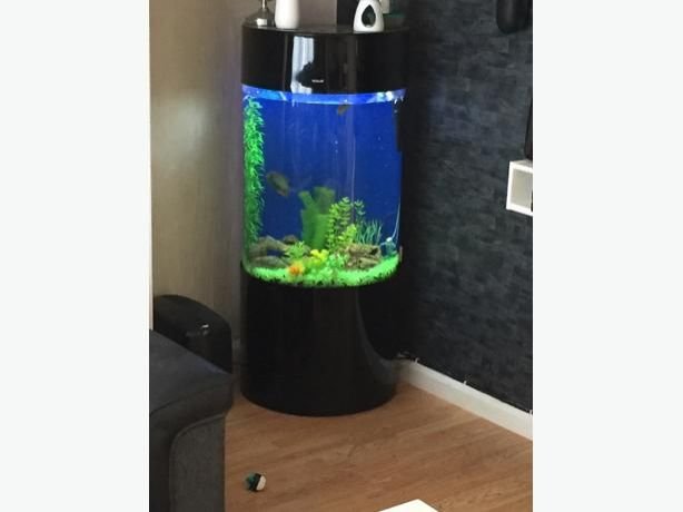 Cylinder Aquarium