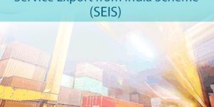 SEIS Services