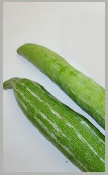 Snake Gourd