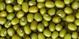 Green Mung