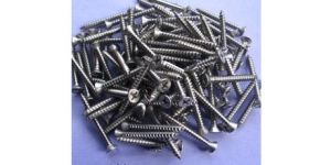 Stainless Steel Screws