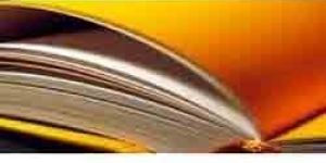 Surface Sizing Hydroxyethylated Starch