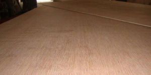 Gurjan Plywood